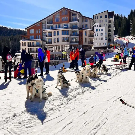 Апартхотел The Bear 4*